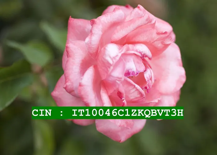 Olimpo Отель типа 